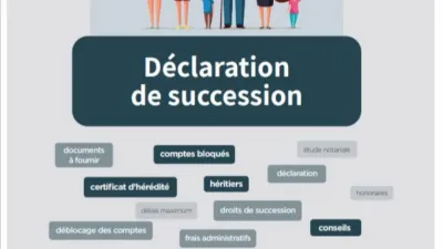 Brochure déclaration de succession